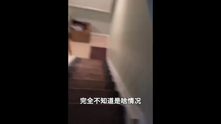 这就是为什么这个视频没有后续