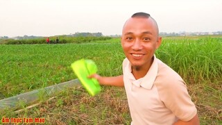 Cú Lừa Mao Đệ Xuýt Thì Té Đái Ra Quần - Dủ Mao Đệ Ra Đồng Chơi Trốn Tìm Rồi Bỏ Đến Tận đêm