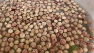 盲人母亲给脑瘫儿子做野草莓