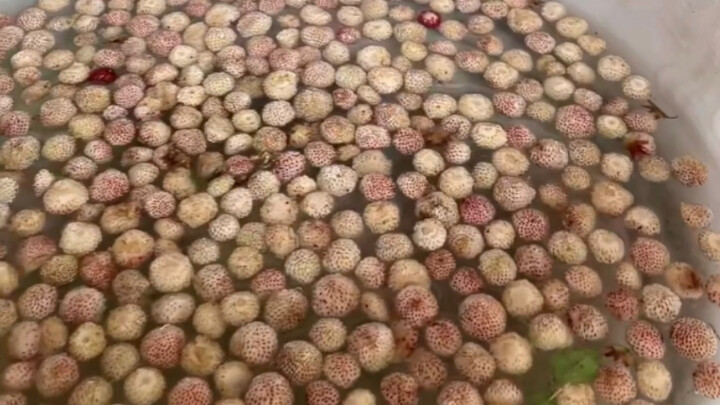 Người mẹ mù làm dâu tây dại cho con trai bị bại não