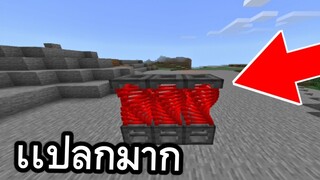 สิ่งนี้คืออะไร!! โครตเเปลก (ทำอะไรได้บ้าง) | Minecraft PE