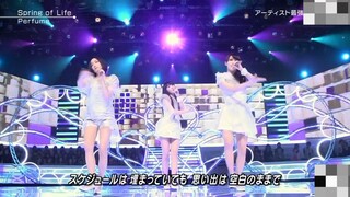 PERFUME SPRING OF LIFE