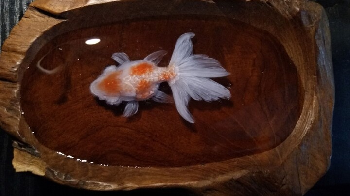 【Drawing】Resin Painting | Preserved Fish | Juhyouno Kagayaki