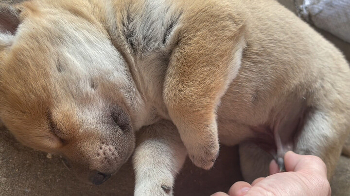 Kalau tidak dimainkan sekarang, nanti jadi tidak seru lagi