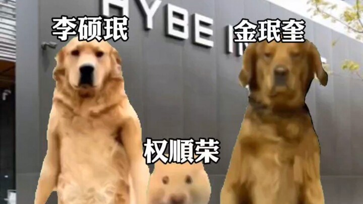 Lee Seok-min, Kwon Soon-young, and Kim Min-gyu at CHA in front of the HYBE building