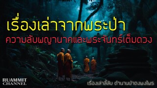 เรื่องเล่าจากพระป่า ความลับพญานาคและพระจันทร์เต็มดวง