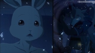 [BEASTARS: Thế giới người thú] Sói x Thỏ, Legoshi x Haru