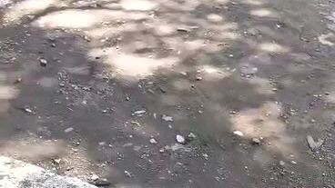 naka una kalaban solid Naman Yung bawi🐓