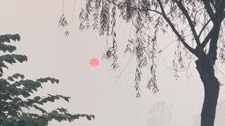 “东方美学诚不欺我，原来中国画真的是写实！”