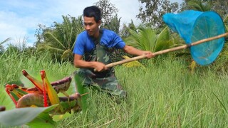 Đang Iu Nhau Thì 7 Ân Túm - Cách Bắt Cào Cào Hiệu Quả Cho Chim