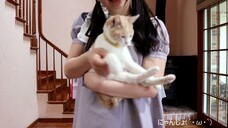 【かおなひ】 男女を踊ってみた ＋おまけ 【令和】