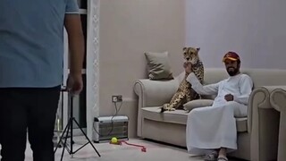 The moment the owner stood up, it knew it was wrong.