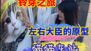 Nếu bạn cảm thấy không vui, nhất định phải đến ga tàu Mèo Mèo thăm đại thần, thực sự rất dễ chữa làn