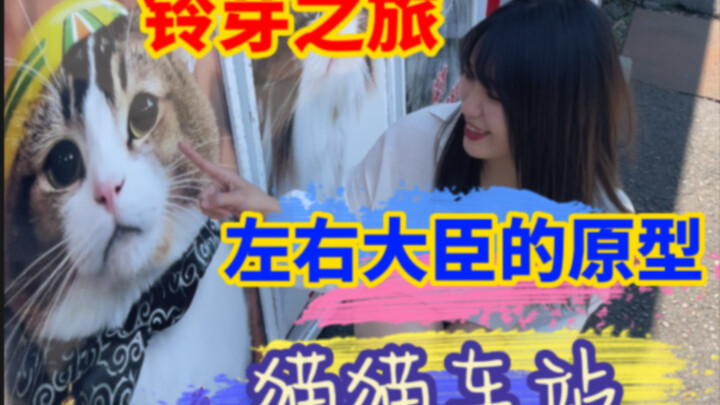 إذا شعرت بالحزن، فعليك بالتأكيد أن تأتي إلى محطة القطط لرؤية الوزير، إنه حقًا مريح للغاية!