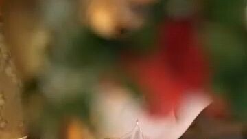 The_ wedding_ that_ will_ never_  be_