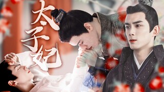 太子妃⑤•如果你不想再做我的太子妃，我就只能将你囚禁