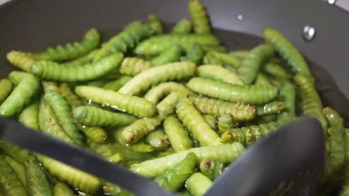 [Documentary] Let's eat bugs together!
