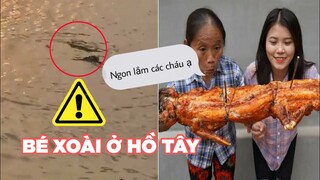 Xuất hiện video nghi ngờ có bé xoài ở Hồ Tây - Top comment hài Face Book.