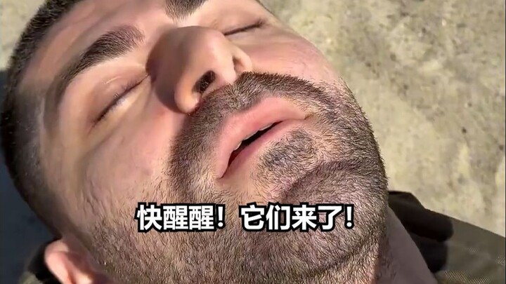 ทารกมนุษย์ VS ทารกสัตว์