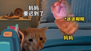 Khi cô giáo chủ nhiệm là mẹ tôi "Meme mèo" "cuộc sống học đường" nội dung quá thực tế "Meme mèo nhà 