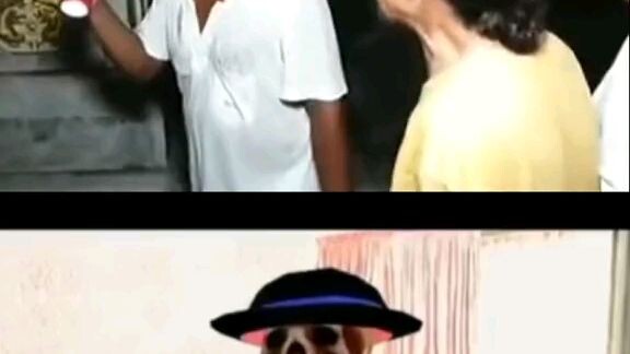 hài ko điểm dừng 🤣🤣🤣