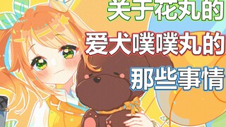 【杂谈】关于花丸的爱犬噗噗丸的那些事情【花丸晴琉/花寄女生宿舍】