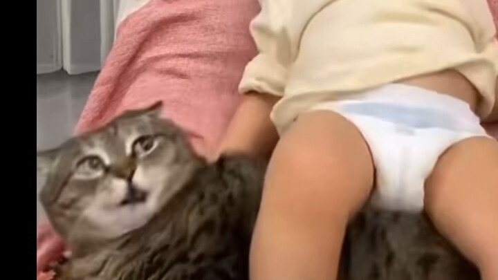 Bạn đánh vào đầu tôi phải không?