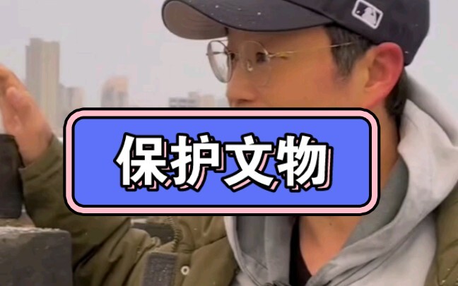 Wang Xun Calls for the Protection of Cultural Relics