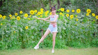 谁能免疫向日葵女孩呢（帧率提升）