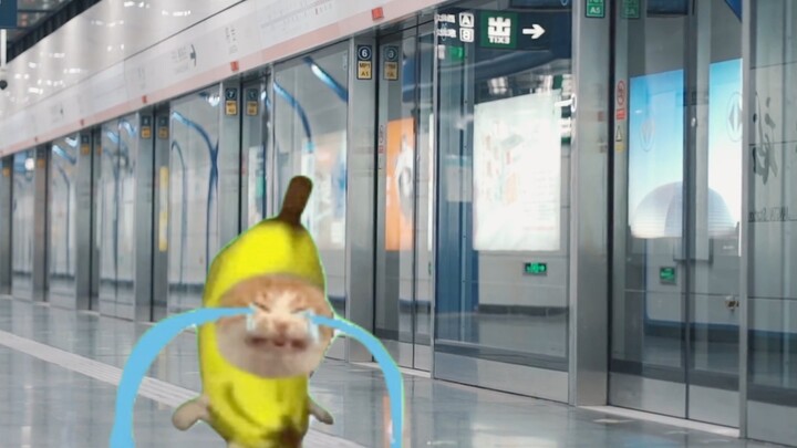 Check Workday Mental State