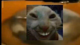 超长前摇反应的过来吗2