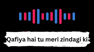 Meri Zindagi sad shayari_Nawaz Sami