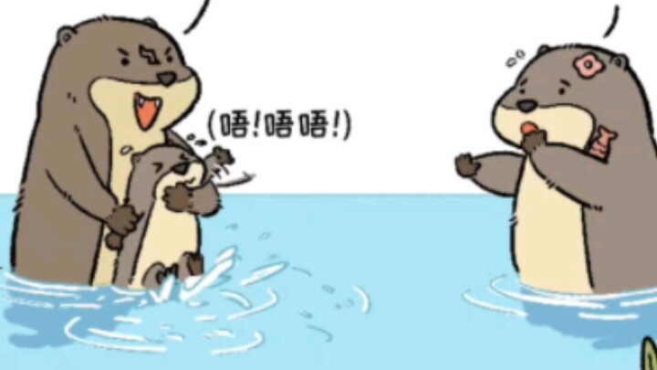 โจรแรคคูน!