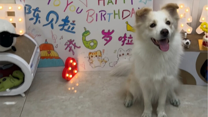 6 years old, happy birthday