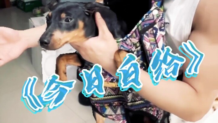 家里来了位新成员？郭师傅身份升级！