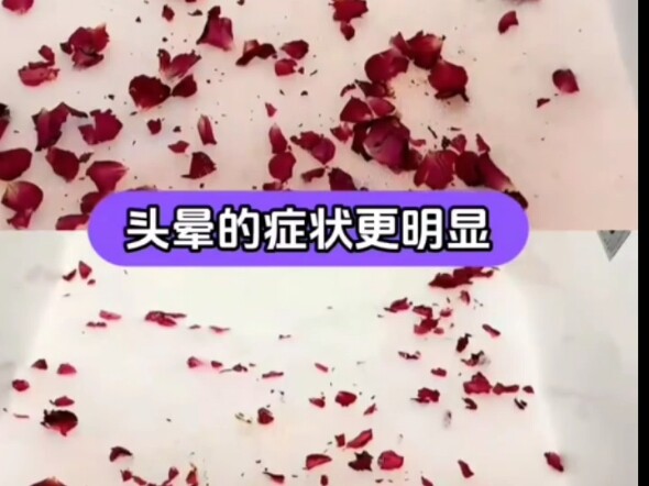 【مي لي تشينغ يي | مستعد لتربيّة القطط |】 اليوتيوبر في طور الاستكشاف، مرحباً بكم في المتابعة والضغط ع