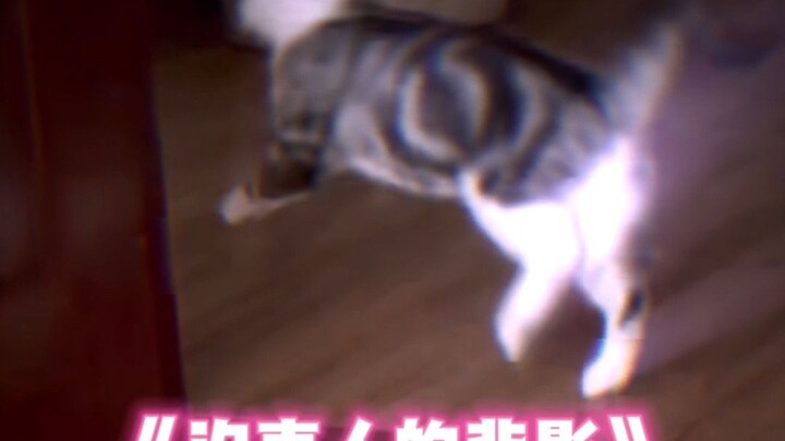 Dia pergi pada suatu malam yang sangat tenang.