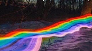 20 bộ phim LGBT được đề xuất, còn bộ phim nào bạn chưa xem không?