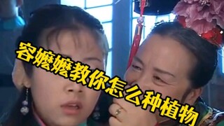 พืชอวบน้ำหาแหล่งน้ำในธรรมชาติได้อย่างไร?