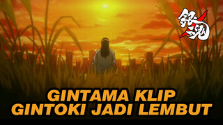 Ini Juga Kelembutan Gintoki! (2)