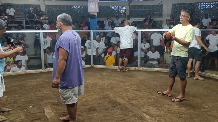 Lucio gf melsims dark grey x Peter alsosa hennie