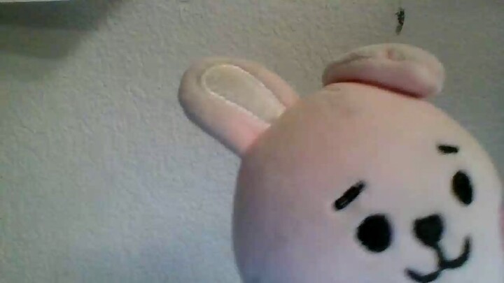 cooky take over the carnma