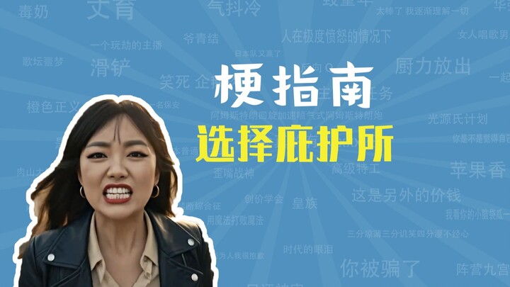 เลือกที่พักพิงคือมีมอะไร【คู่มือมีม】