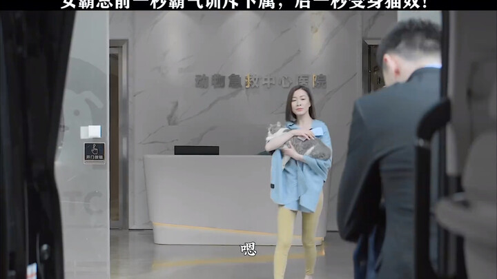 The female CEO whom everyone fears actually has a pretty cute side!