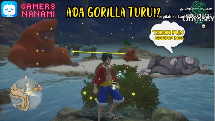 Gorila Penjaga Pantai Sedang Tidur!!??