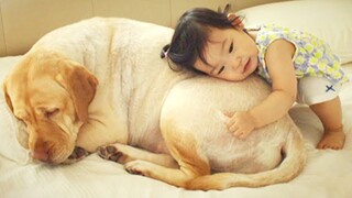 CHÓ và EM BÉ là đôi BẠN THÂN - Chó con và em bé dễ thương | Puppies and Babies cute