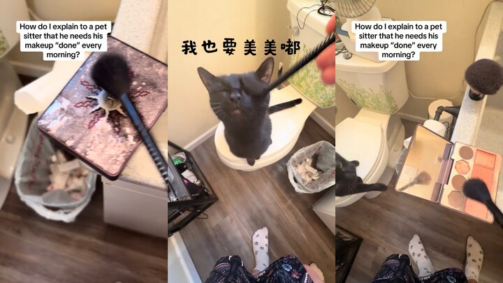 When you have a cat who’s really into fashion‍