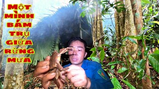 KỸ NĂNG SINH TỒN GIỮA RỪNG MƯA LẠNH GIÁ | NGÀY THỨ 4 | ĂN CHÂU CHẤU RỪNG ĐỂ VƯỢT QUA CƠN ĐÓI