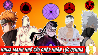 Các Ninja Bá Đạo Nhờ Cấy Ghép Con Mắt Tộc Nhân Uchiha |Naruto Mạnh Khỏi Cần Rinnegan