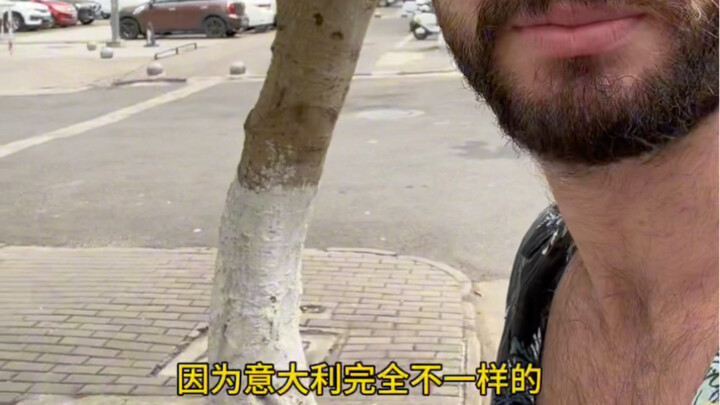 Why are trees white in China?